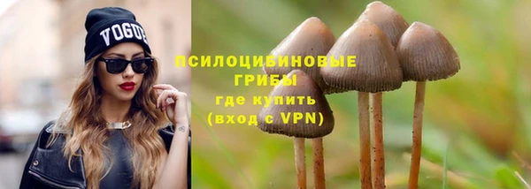 прущая мука Вязьма