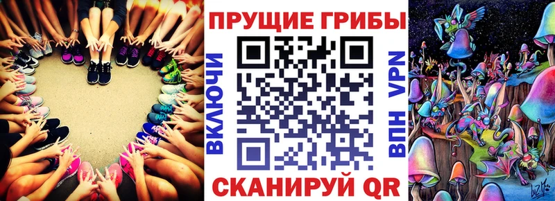 Галлюциногенные грибы Psilocybine cubensis  Козловка 